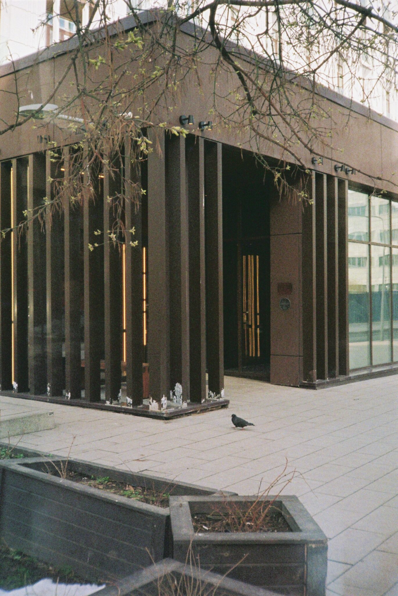 Не изданное за 2025г.