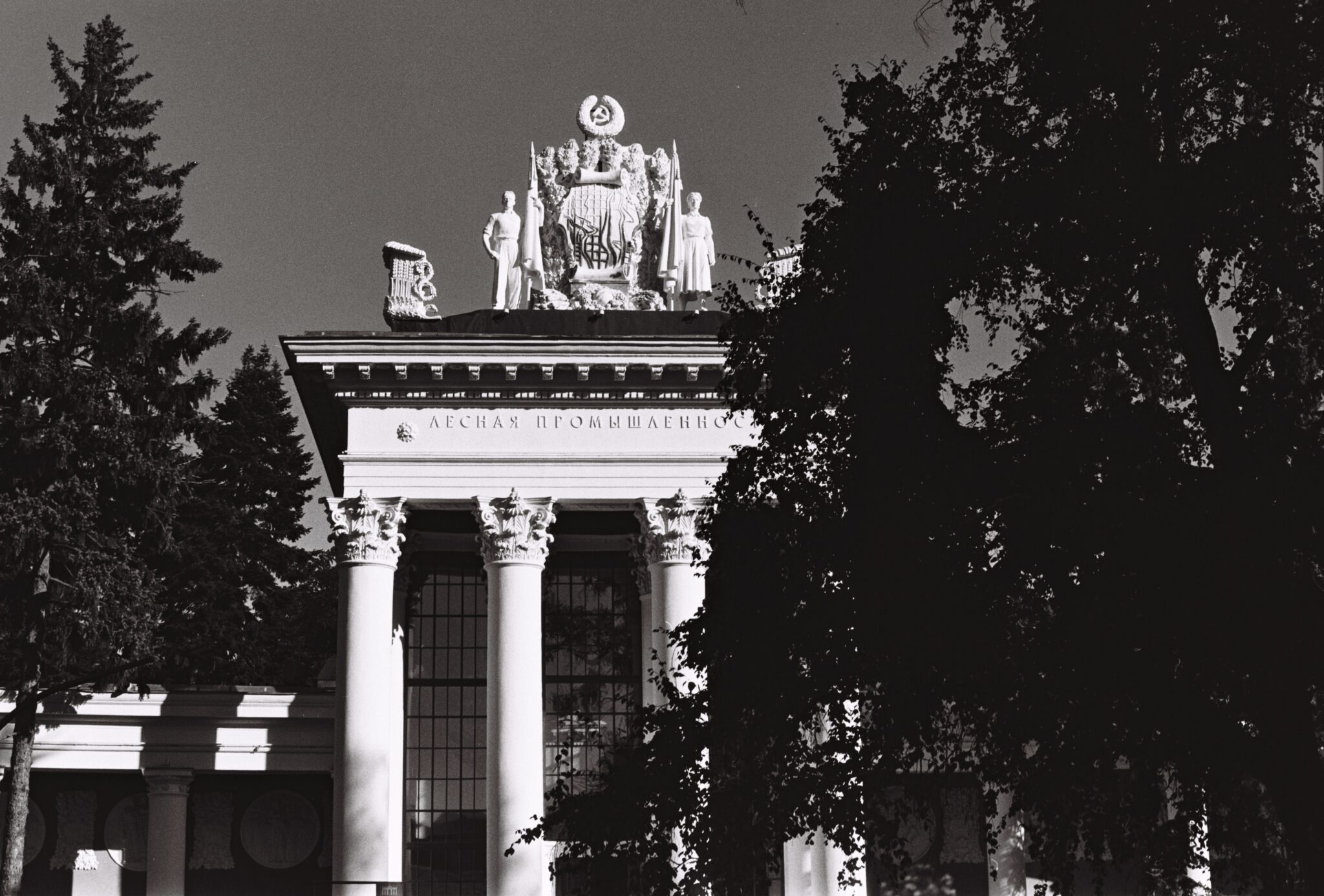 #16 Изопан 100