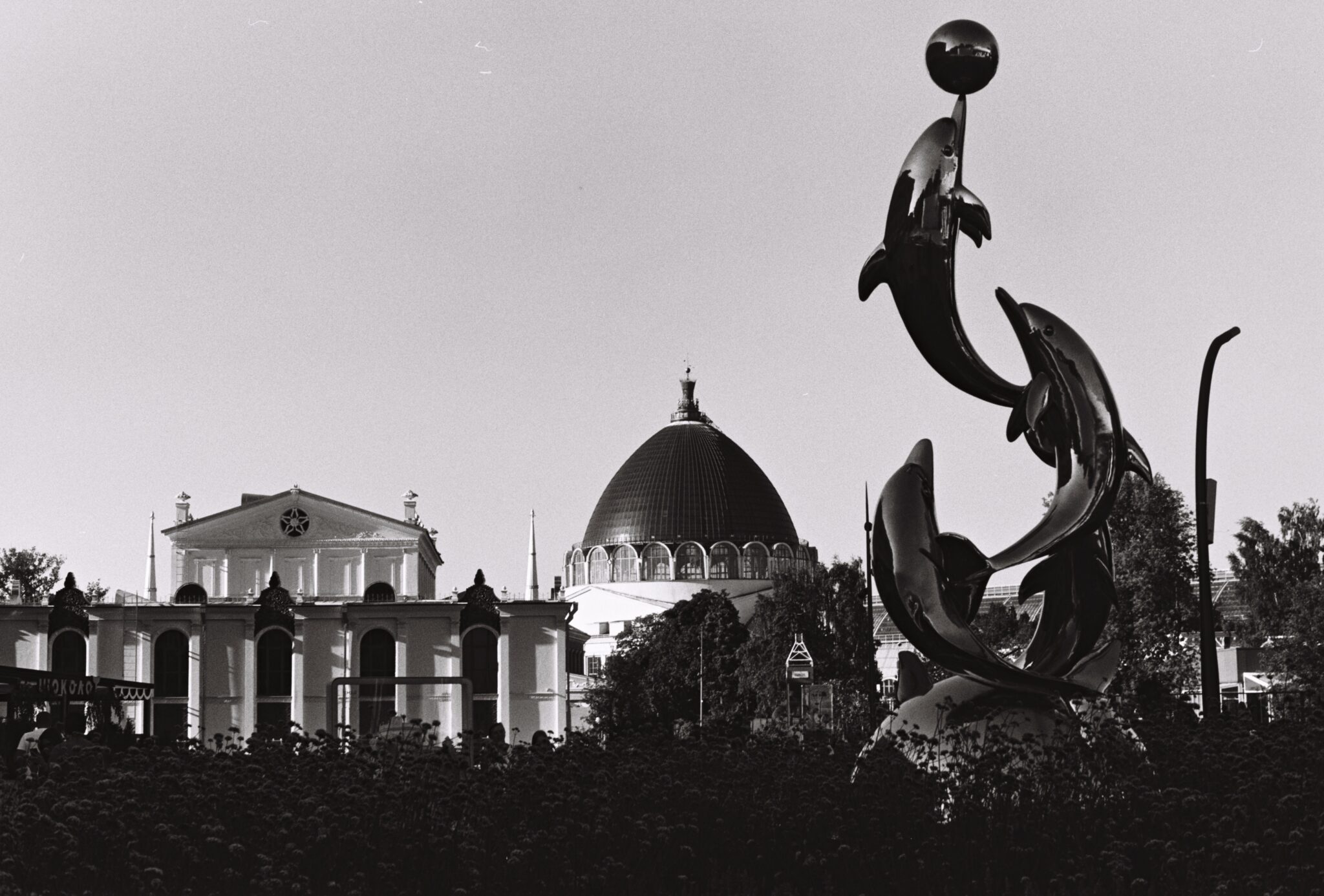 #16 Изопан 100