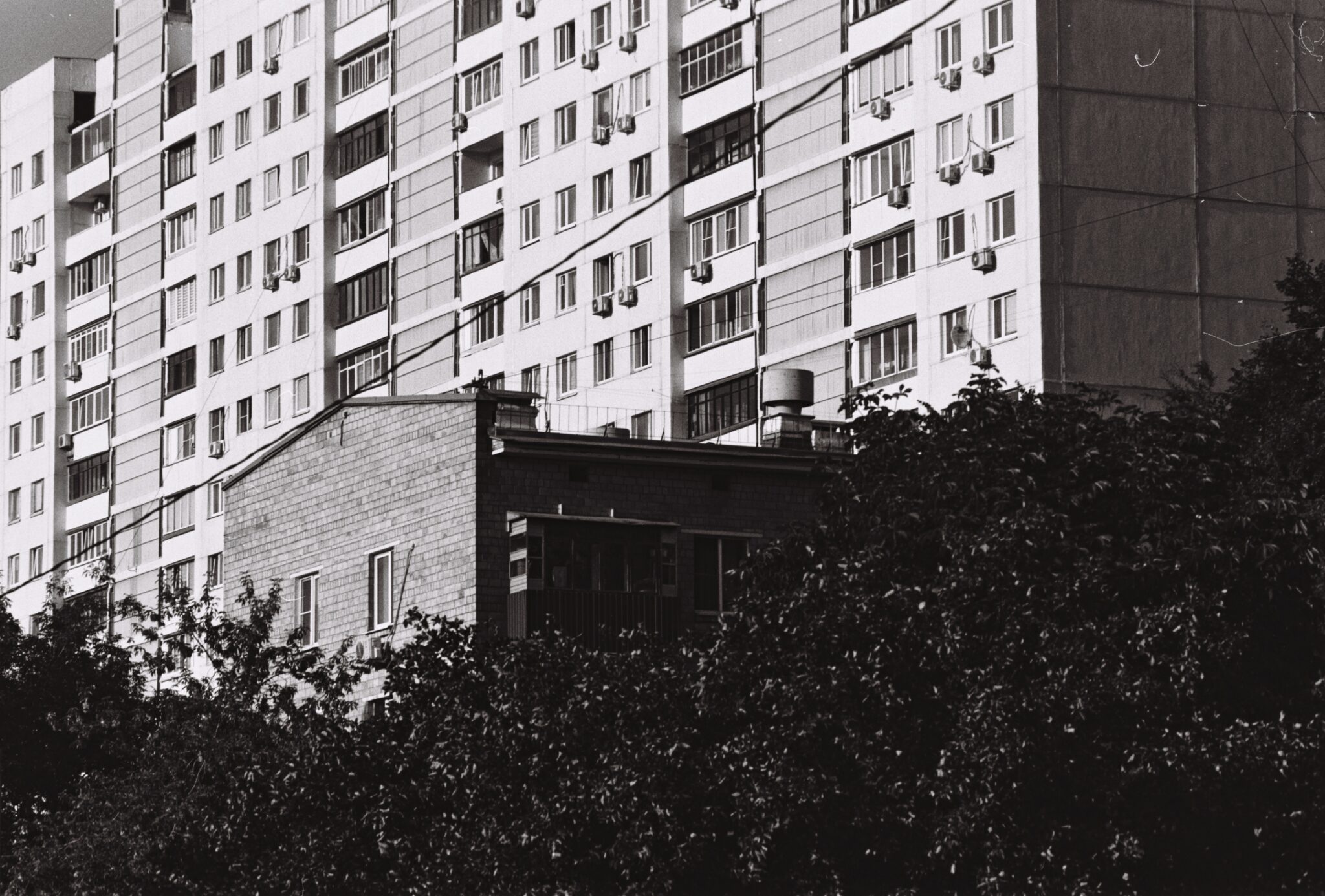 #16 Изопан 100