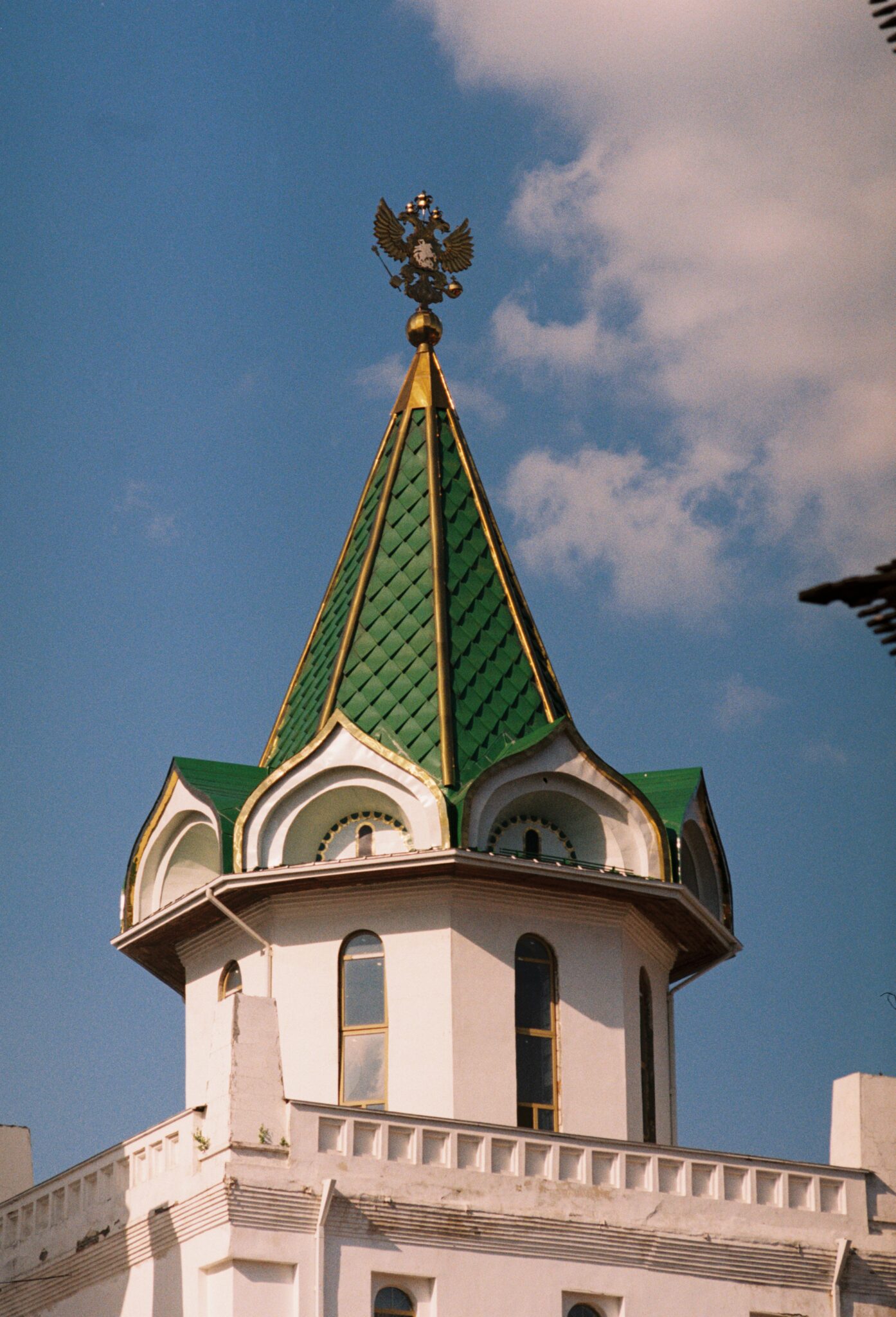 #11 Kodak PRO IMAGE 100