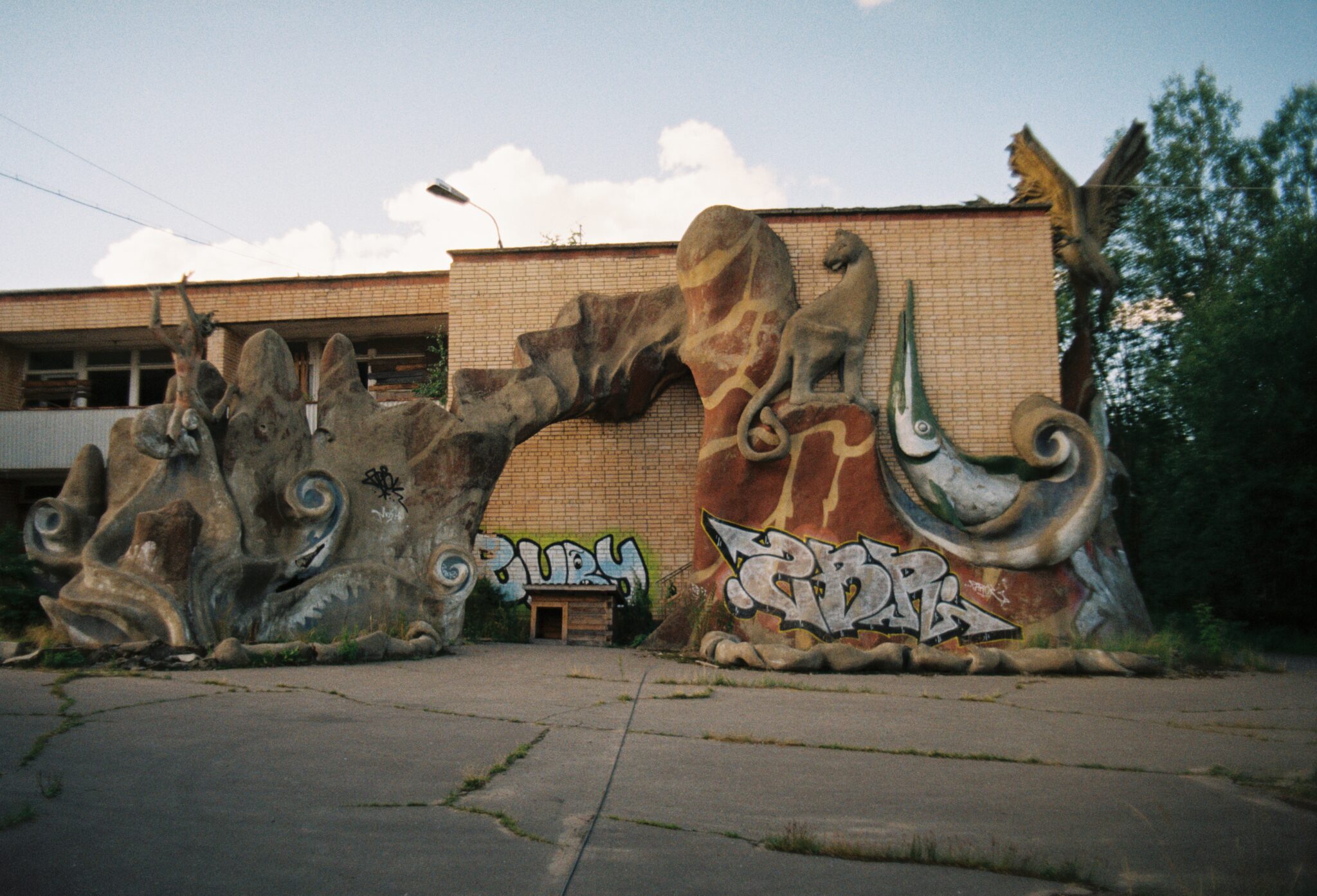 #11 Kodak PRO IMAGE 100