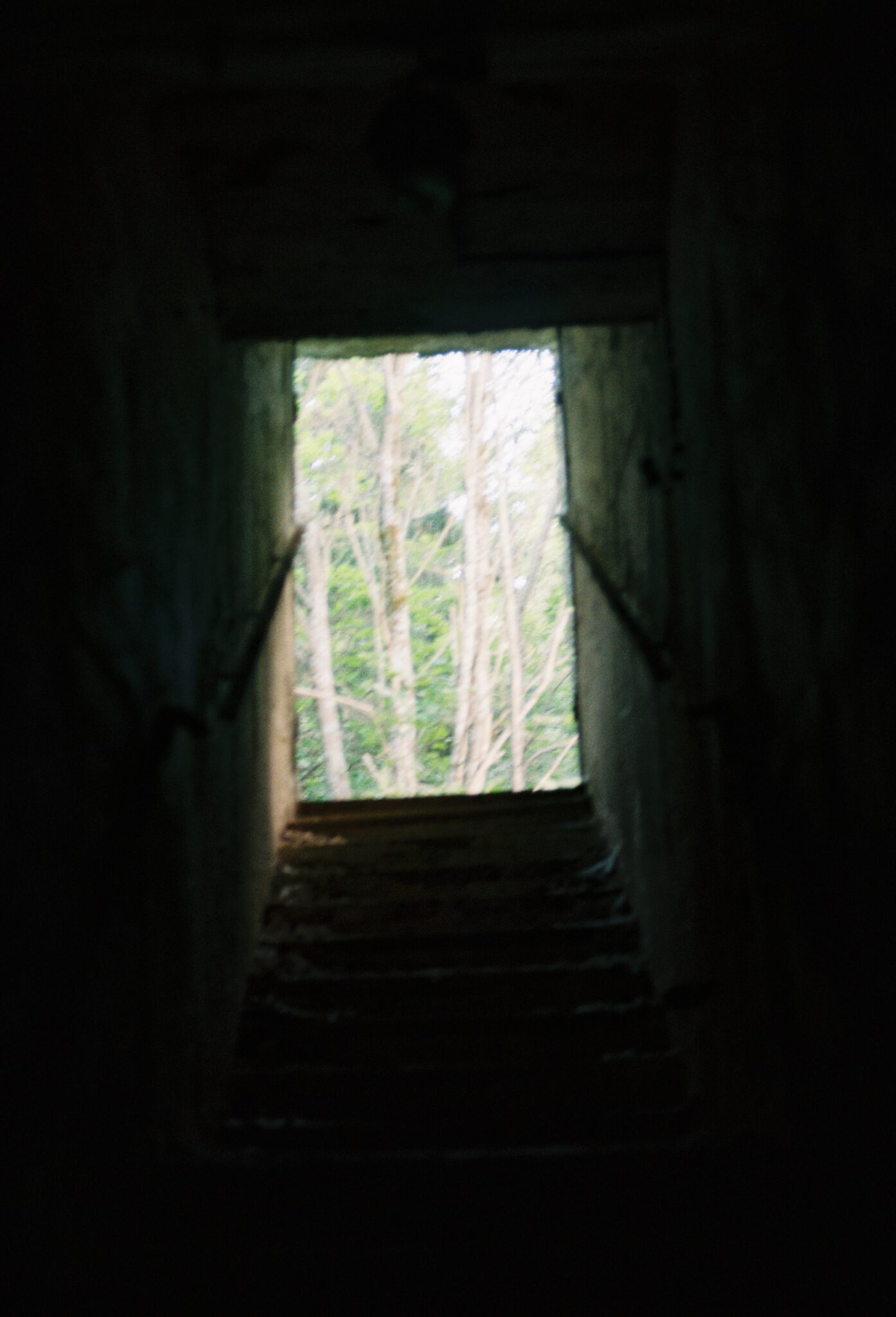 #11 Kodak PRO IMAGE 100