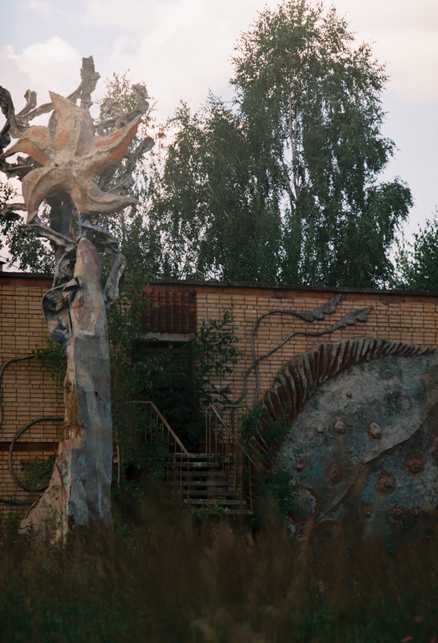 #11 Kodak PRO IMAGE 100