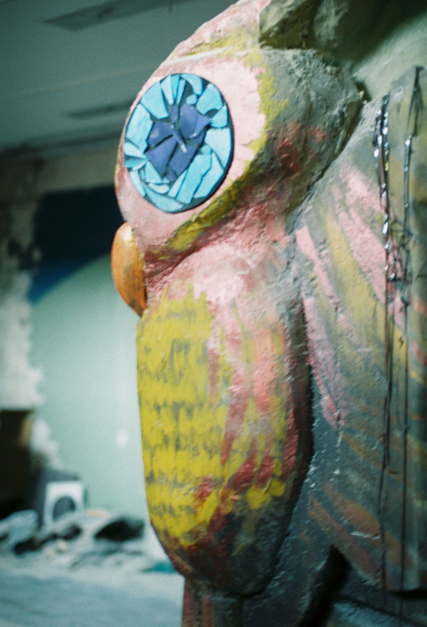 #11 Kodak PRO IMAGE 100