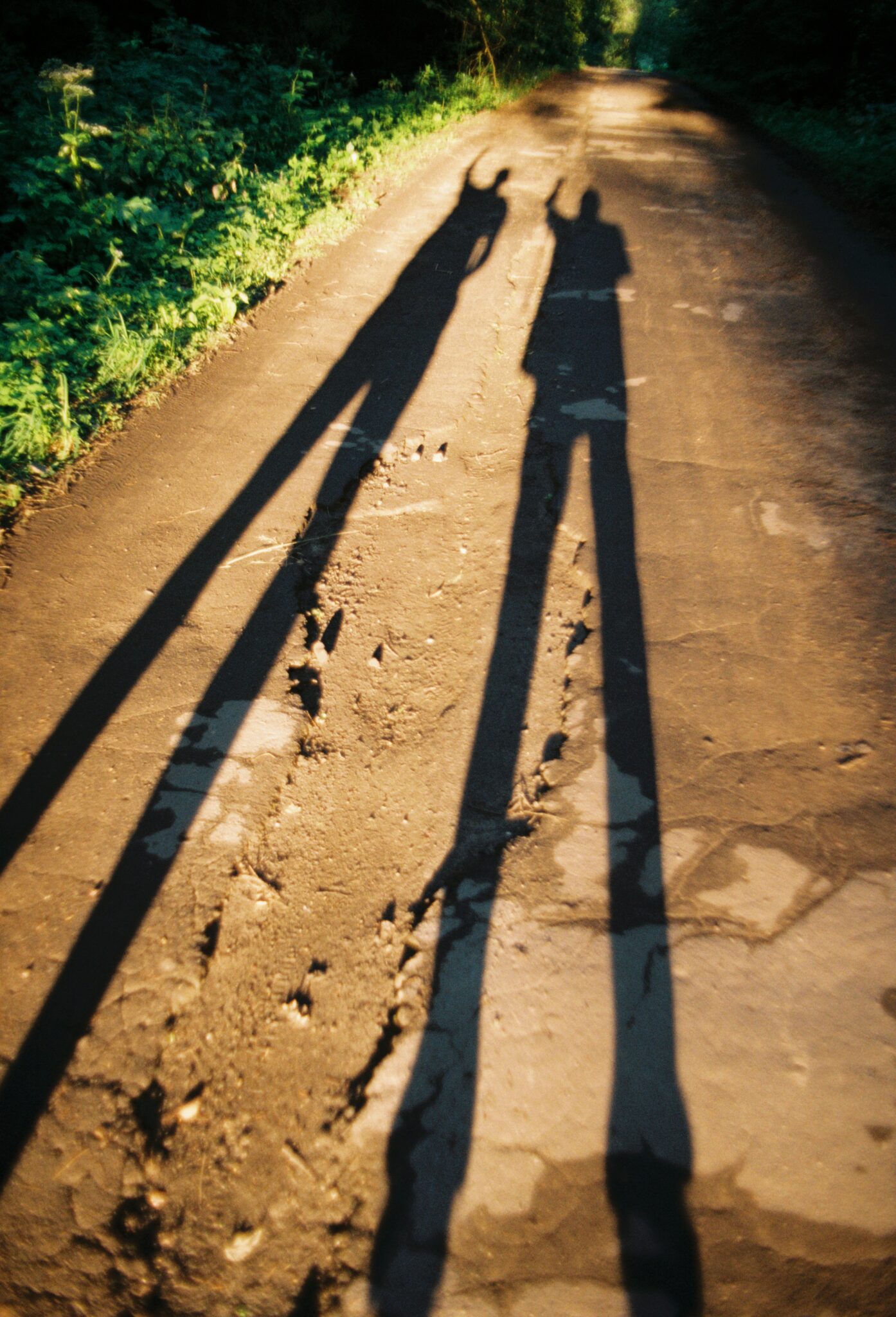 #11 Kodak PRO IMAGE 100