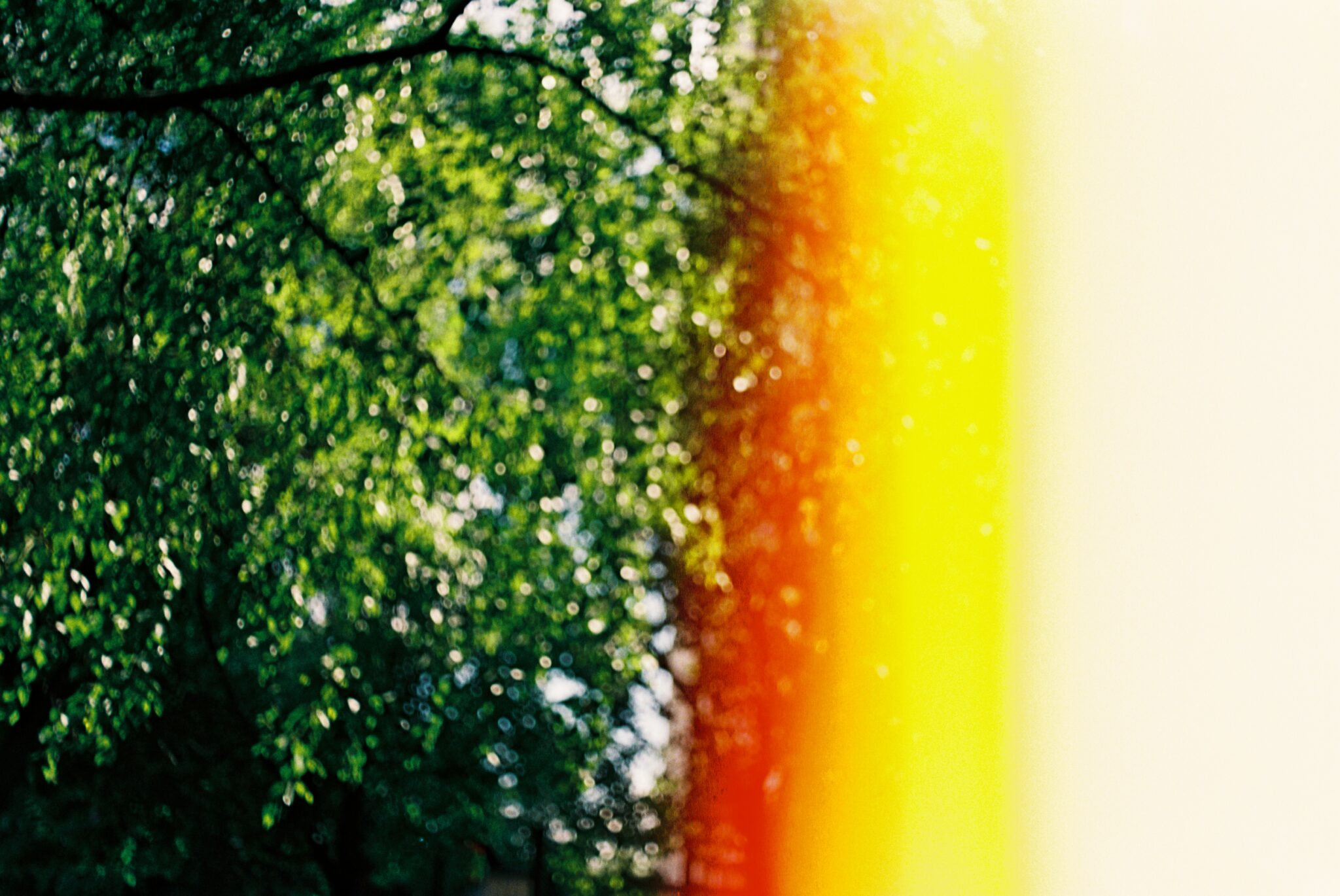 #2 Kodak Vision 3 500T