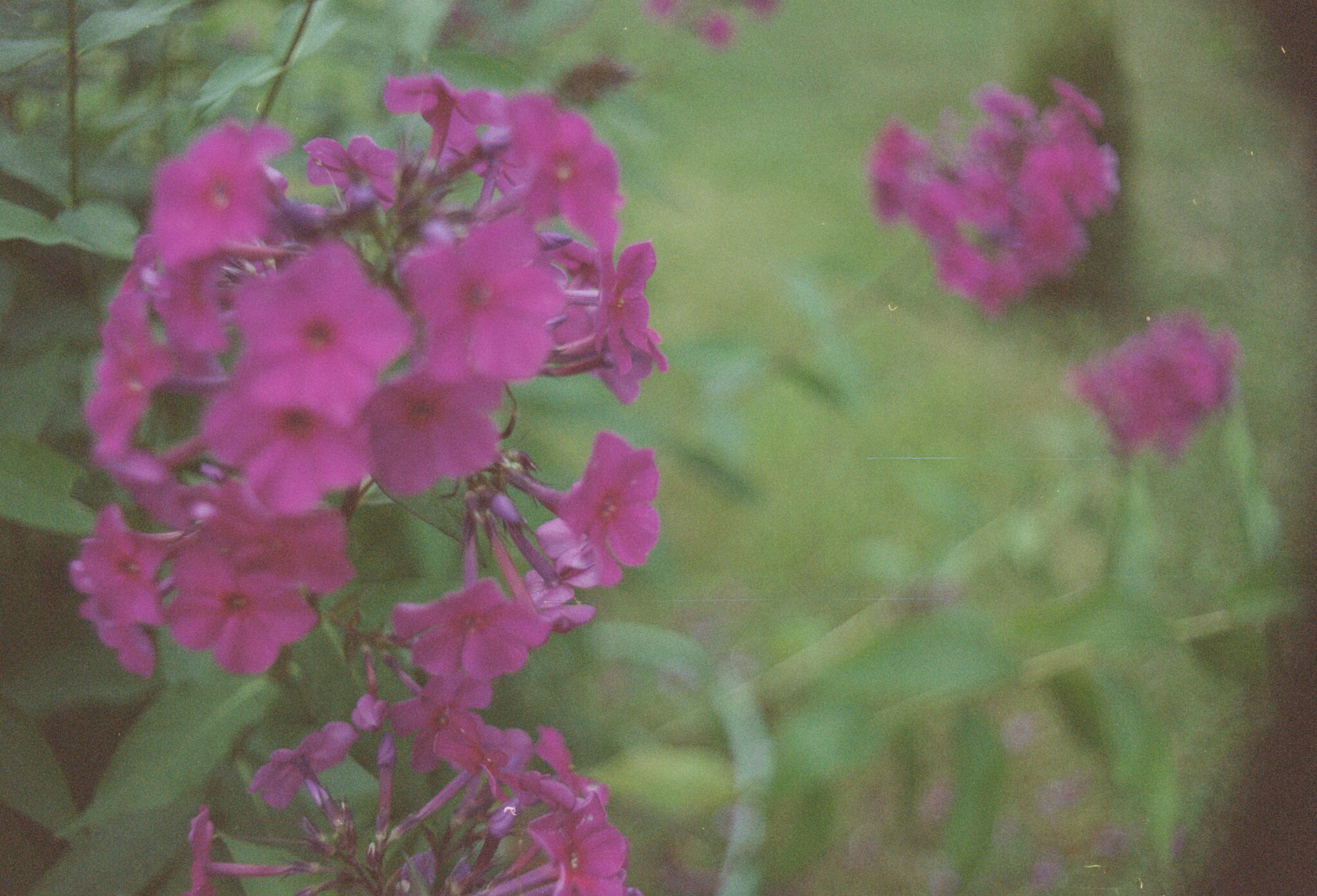 #15 Kodak Color. Просроченная с 2003г.