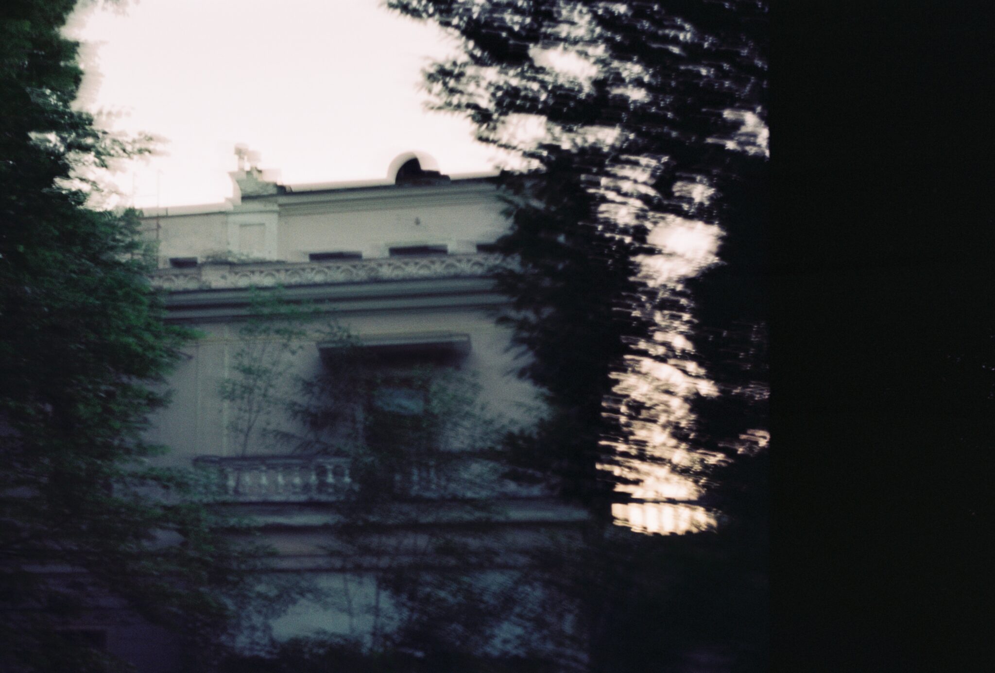 #6 Kodak Vision 3 250D