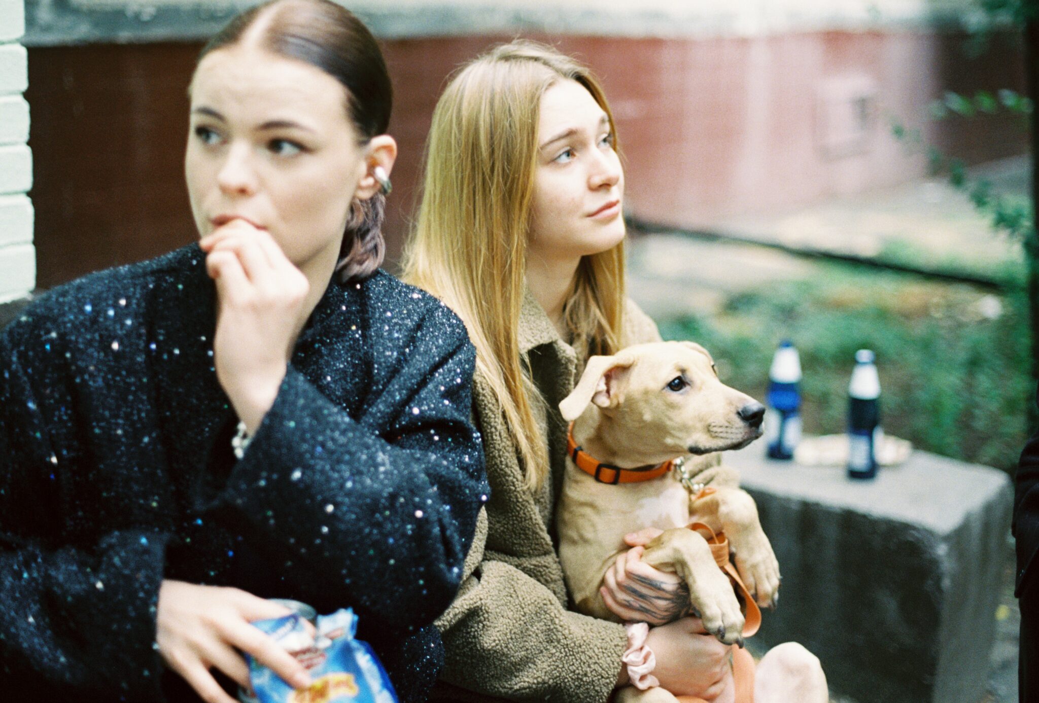 Не изданное за 2025г.