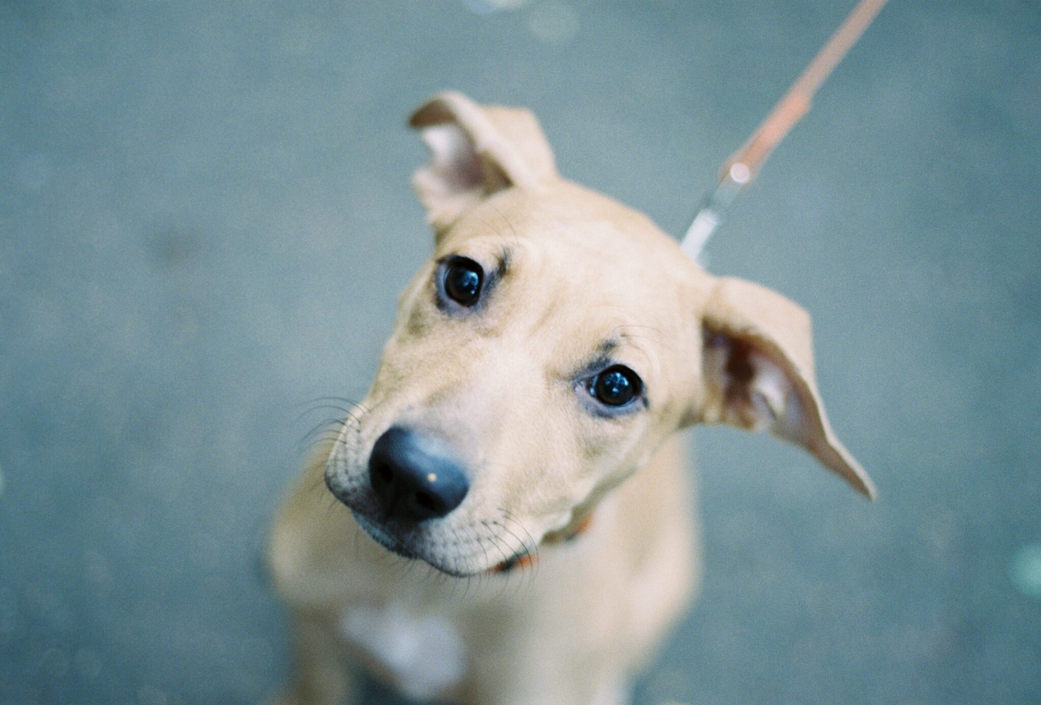 Не изданное за 2025г.