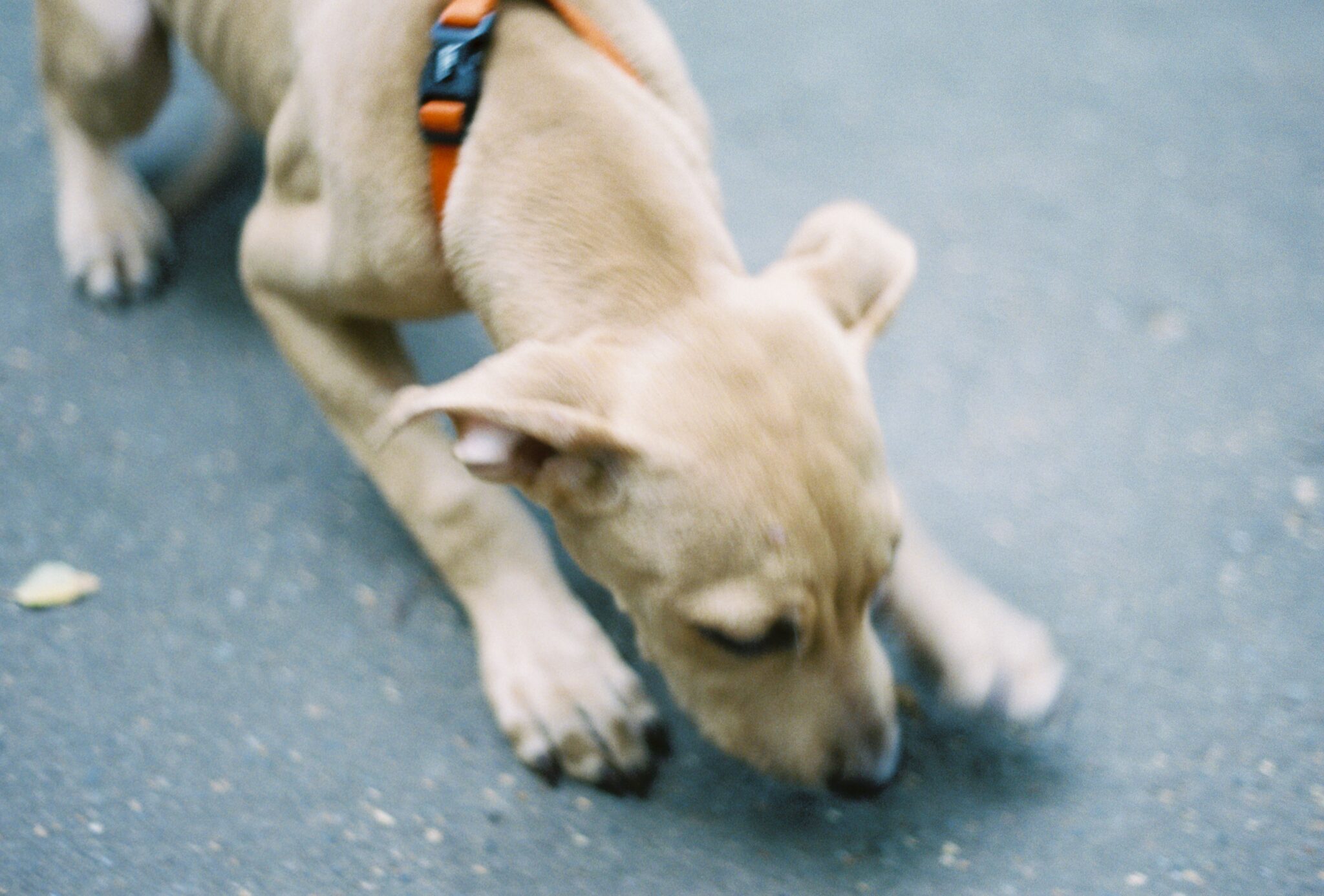 Не изданное за 2025г.