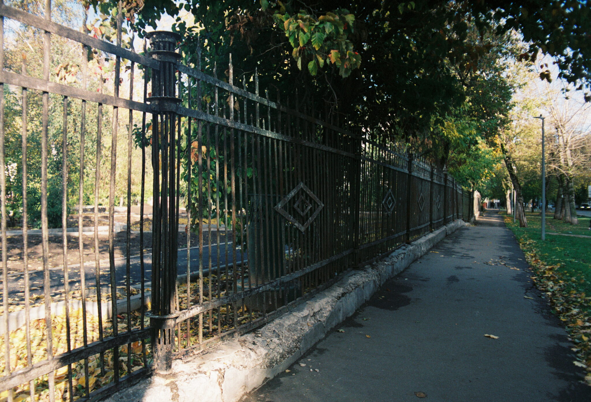 #20 Fujifilm Superia PREMIUM 400