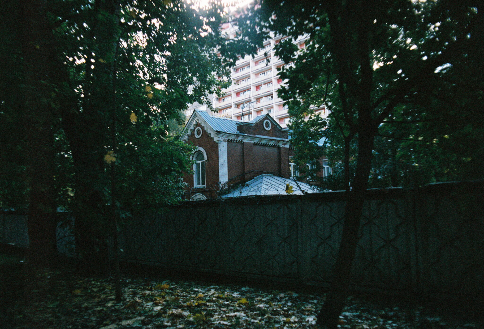 #20 Fujifilm Superia PREMIUM 400