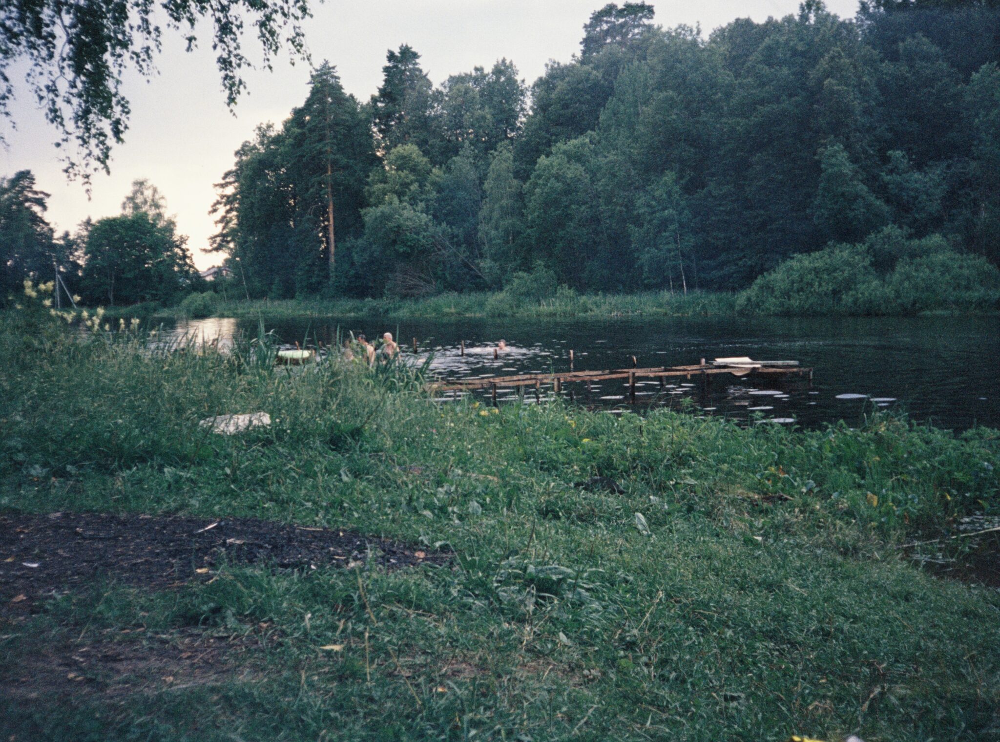 Не изданное за 2025г.