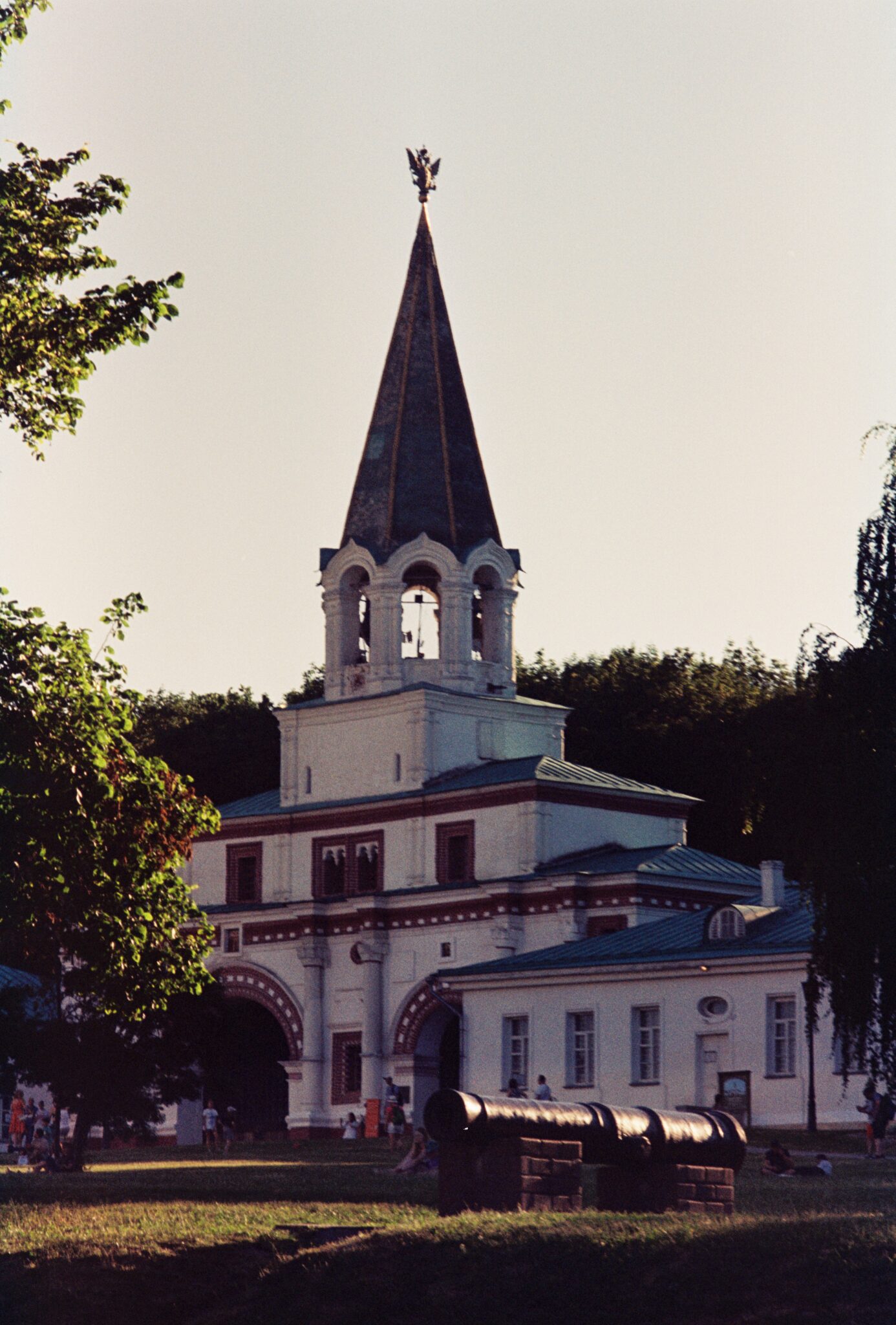 #8 Kodak Vision 3 250D